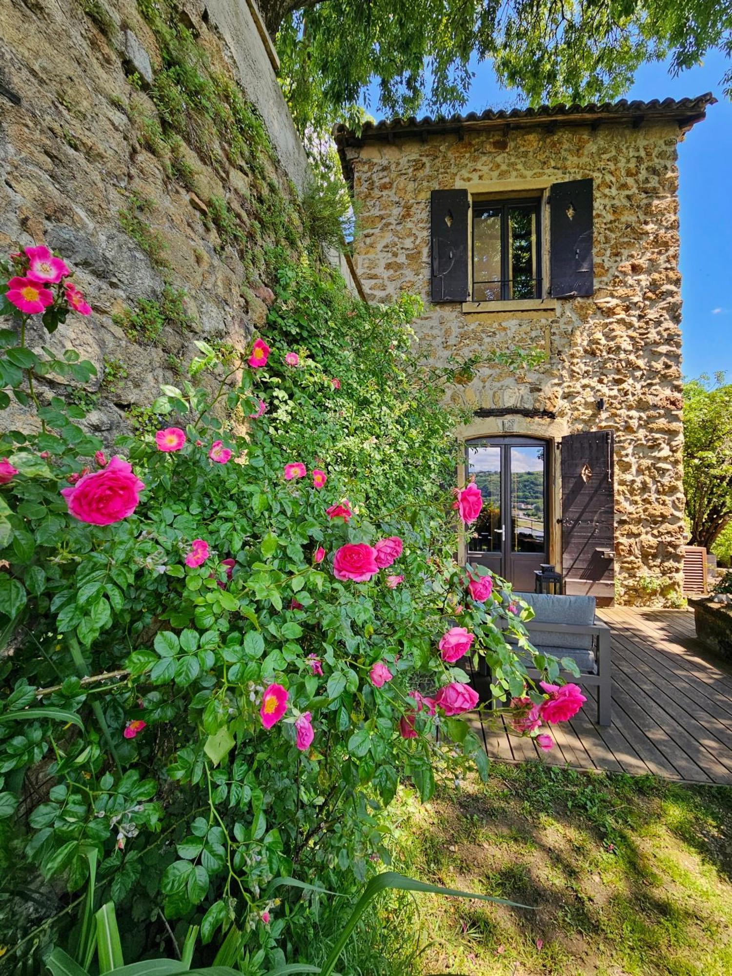 La Batie - Vue Imprenable - Amazing View - Parking Prive Appartement Vienne  Buitenkant foto